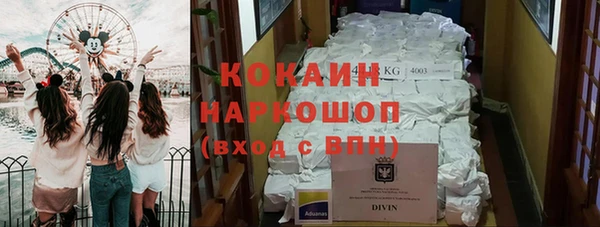 амф Коряжма