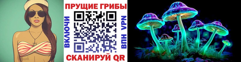 Купить где  Ахтубинск  Псилоцибиновые грибы MAGIC MUSHROOMS 